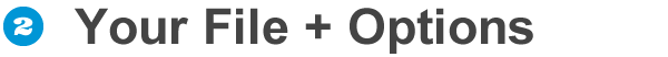 Select your file and options
