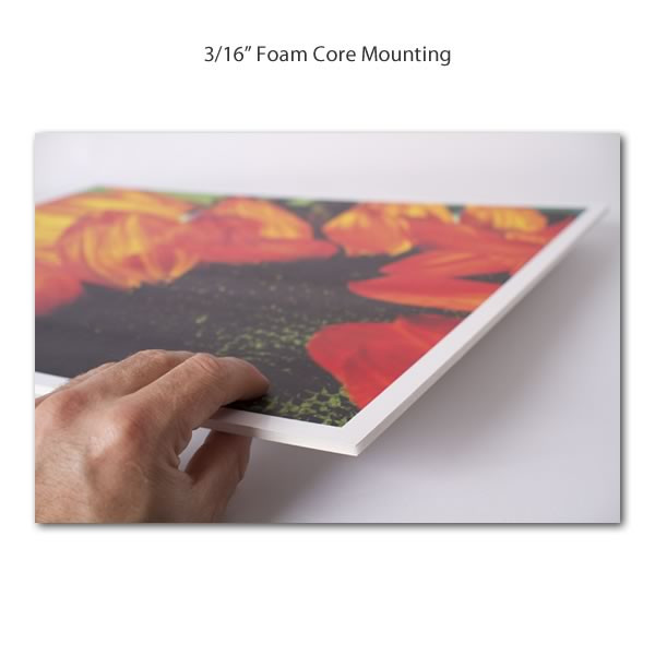 24 x 36 posters